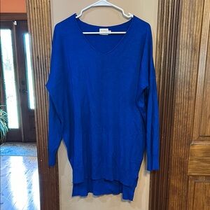 Striking Blue V-Neck Sweater with Relaxed Fit